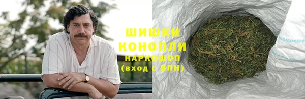 гашик Аркадак