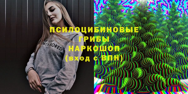 прущая мука Арсеньев