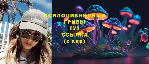 гашик Аркадак