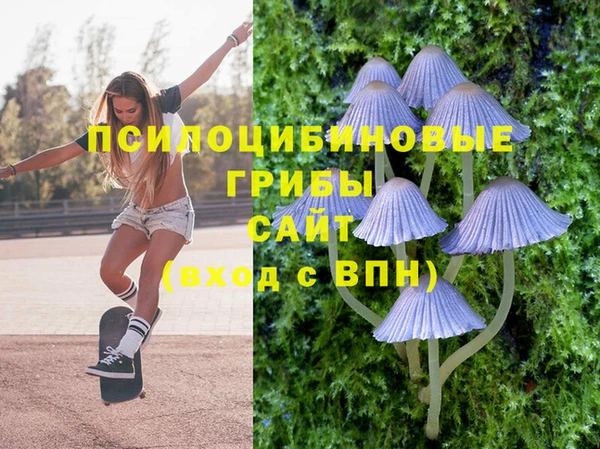 прущая мука Арсеньев