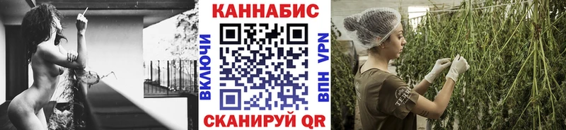 купить наркотики цена  Теберда  Бошки Шишки план 